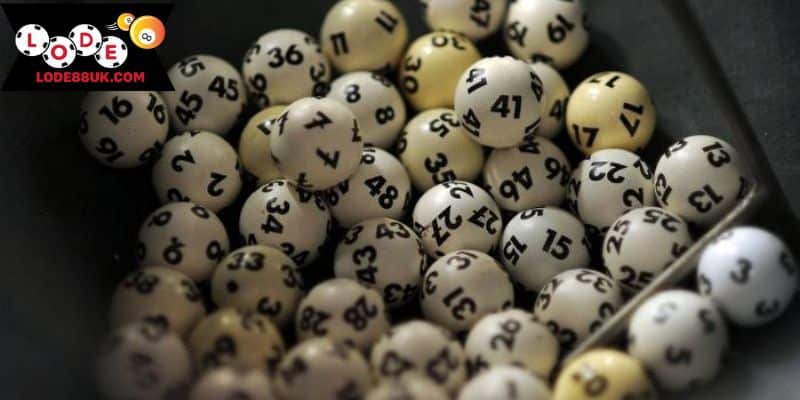 Chiến lược nuôi lô khung hiệu quả 