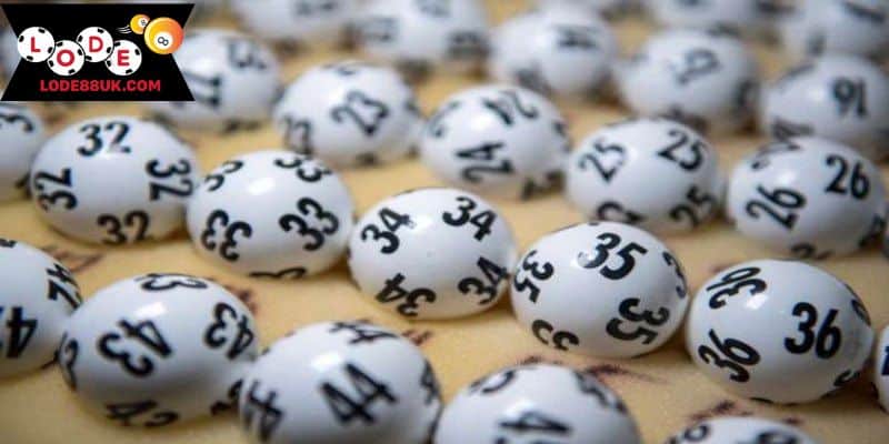 Chơi lô rồng với tỷ lệ trúng thưởng cao