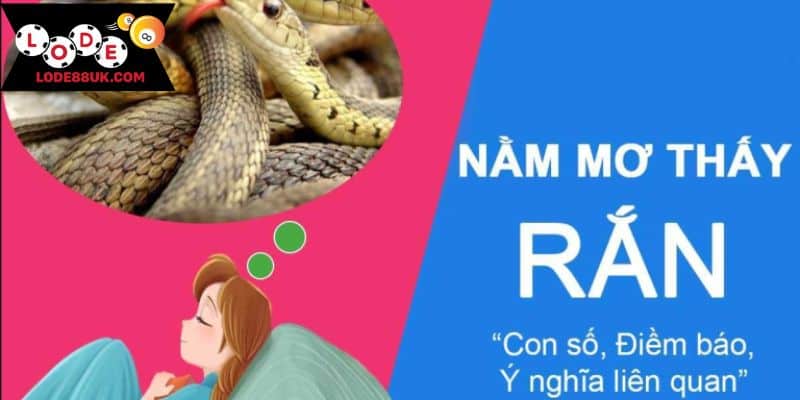 Có nhiều lưu ý khi gặp rắn trong mơ