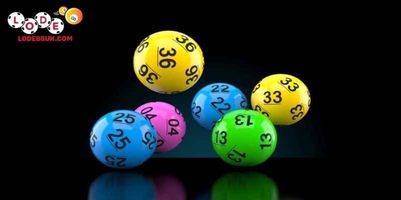 Đôi nét về tạo dàn đề dành cho người mới