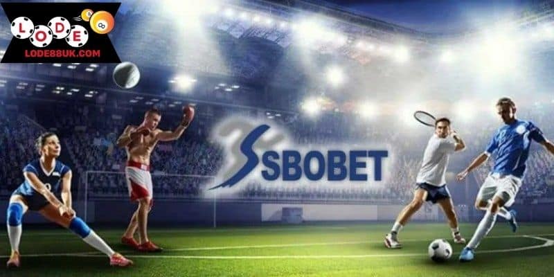 Sảnh SBOBET thu hút đông đảo cược thủ