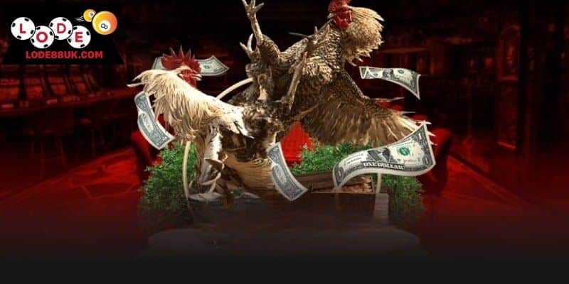 Tỷ lệ trả kèo cạnh tranh nhất thị trường